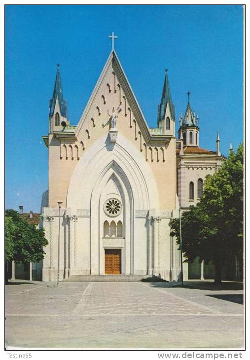 TORINO--PIANEZZA--SANTUARIO DI SAN PANCRAZIO MARTIRE--FG--V - Other Monuments & Buildings