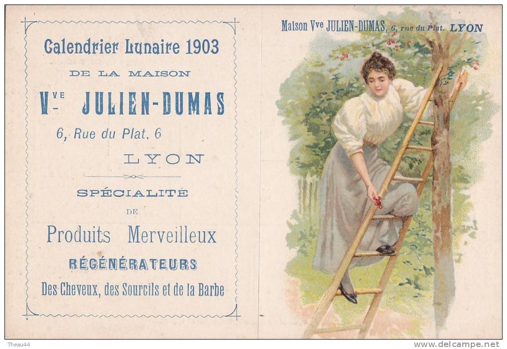 ¤¤  -  LYON  -  Calendrier Lunaire De 1903 De La Maison Julien Dumas 6 Rue Du Plat - Régénérateur De Cheveux   -  ¤¤ - Autres & Non Classés