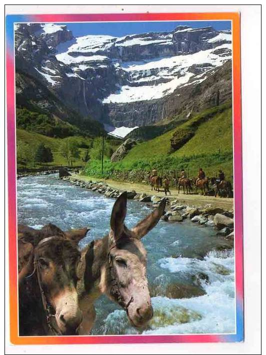 CPM 10*15/Y575/GAVARNIE LE CIRQUE 1997 ANE - Gavarnie