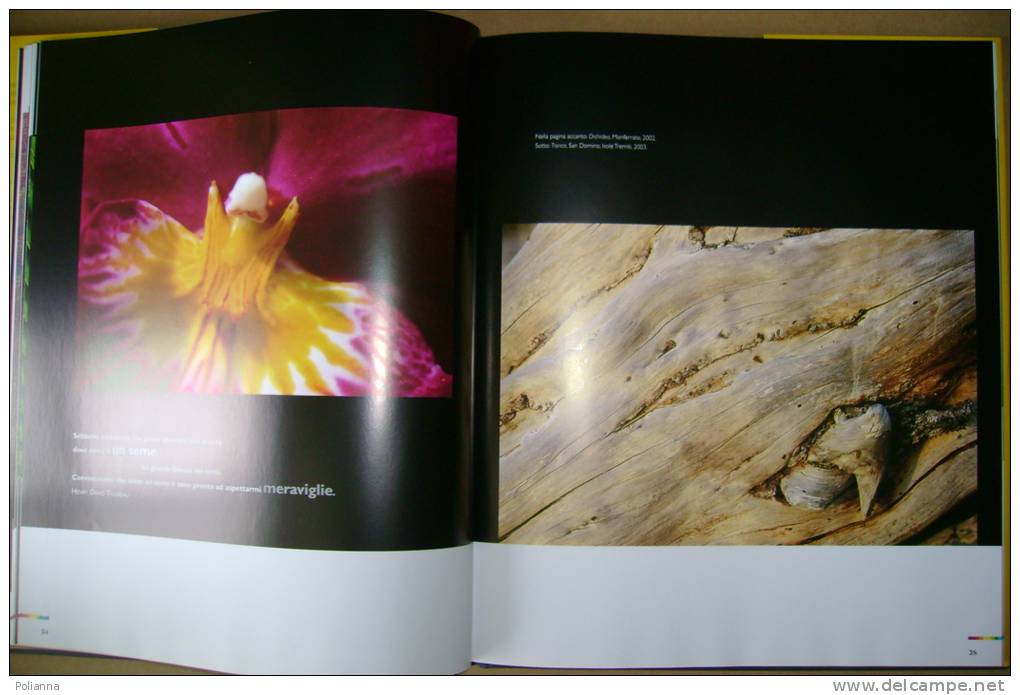 PBQ/42 Massimo Sommariva NATURAL TEXTURES Blu Ed.2003/FOTOGRAFIA - Pictures