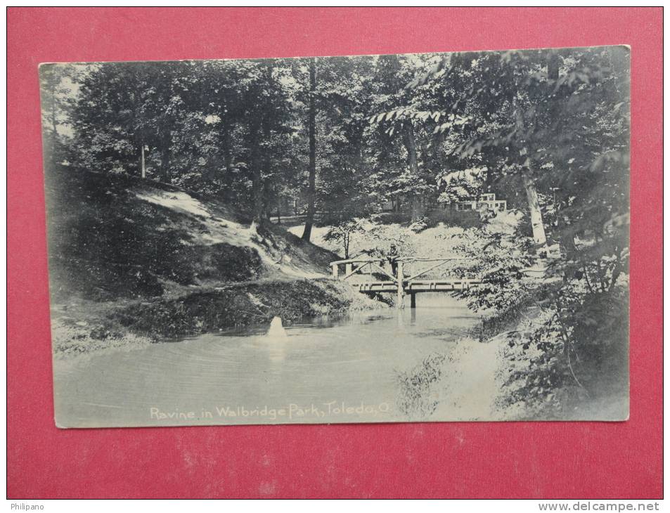 Rotograph  > OH - Ohio > Toledo  Ravine In Walbridge Park 1907 Cancel   Ref 902 - Toledo