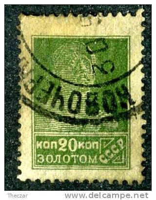 (e873)  Russia  1924  Mi.254  Used  Sc.288 - Usados