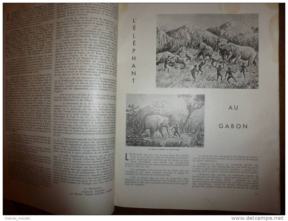 1952  N° 9    PLAISIR De La CHASSE... Voir Aussi : Eléphant Du Gabon.... Envoi Gratuit Pour La France Et Le Monde Entier - Jacht/vissen