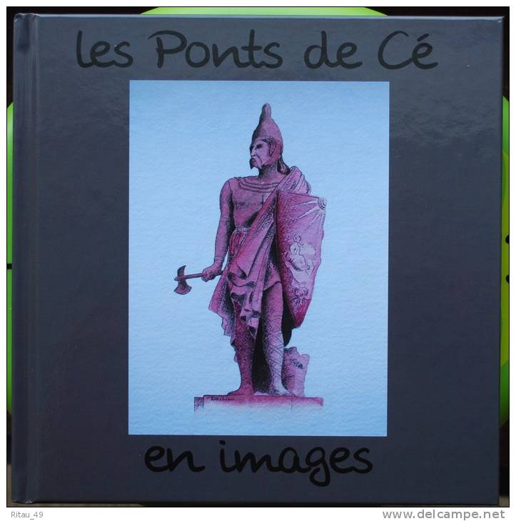 Livre-photo De Cartes Postales Sur Les Ponts De Cé - Les Ponts De Ce