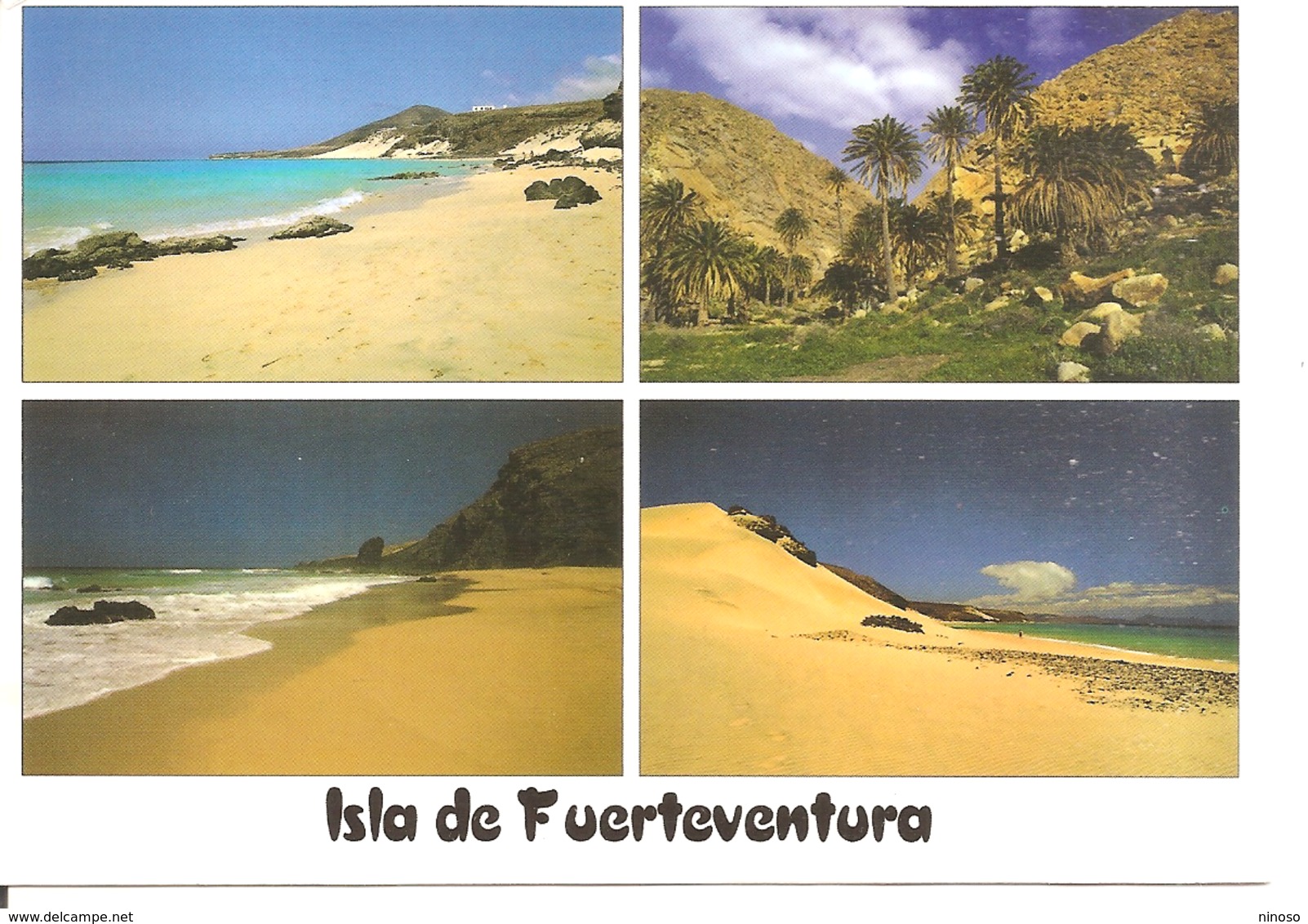 CARTOLINA FUERTEVENTURA ( ISOLE CANARIE ) - Fuerteventura