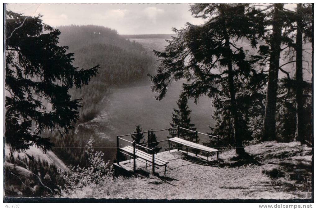 Braunlage - Sankt Andreasberg - An Der Rosstrappe - Braunlage