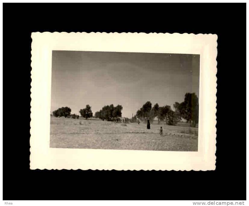 MAROC - Route De Erfoud à Ouarzazate - Photo D´un Voyage Au Maroc D´une Nantaise En 1963 - Afrique