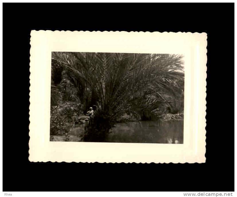 MAROC - TINERHIR - Sources Des Poissons Sacrés - Photo D´un Voyage Au Maroc D´une Nantaise En 1963 - Afrique