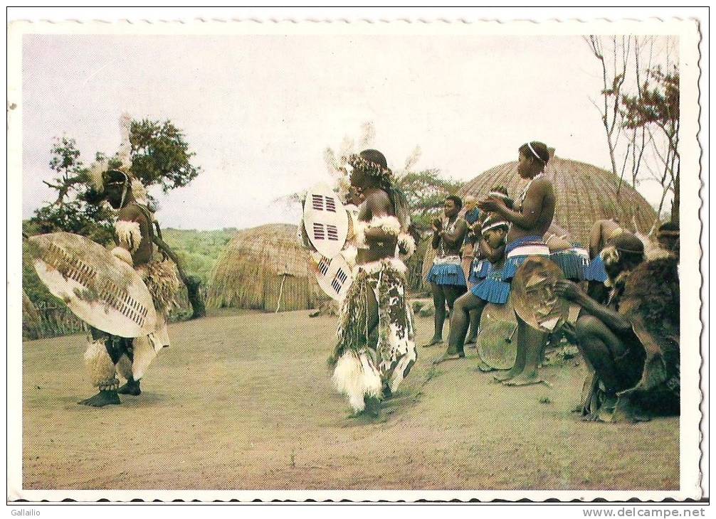 AFRIQUE DU SUD ZULU PEOPLE IN A FESTIVE MOOD NATAL GUERRIERS ZOULOU - South Africa