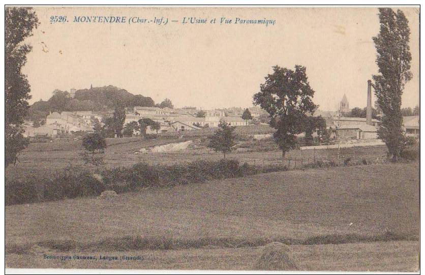 CPA 17 MONTENDRE Usine Et Vue Panoramique - Montendre