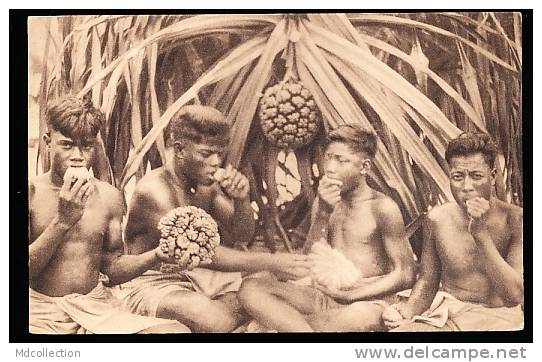 986 WALLIS ET FUTUNA / Indigènes Mangeant Le Fruit Du Pandanus / - Wallis Et Futuna