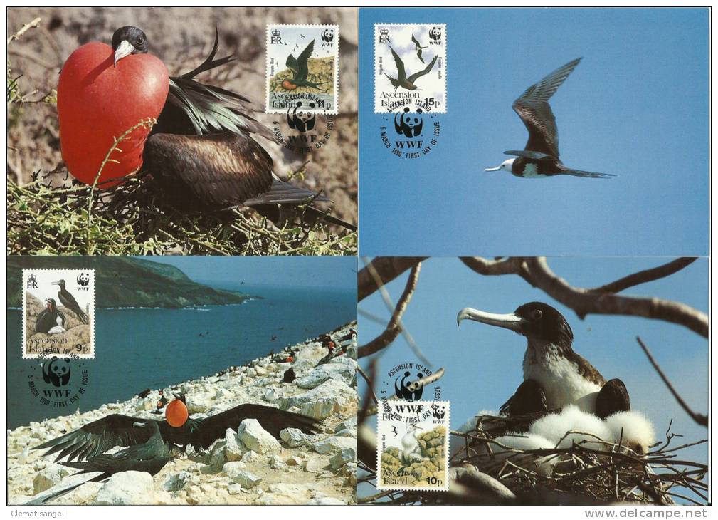 TOP!! ASCENSION ISLAND * FREGATTVOGEL * WWF 1990 AUF 4 MAXIMUMKARTEN **!! - Meeuwen