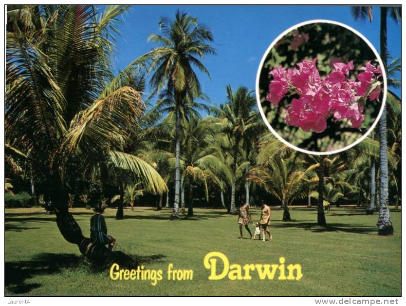 (695) Australia - NSW - Darwin Botanical Gardens - Darwin