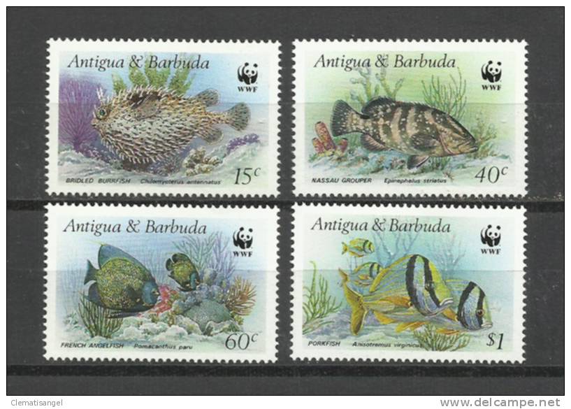 TOP!! ANTIGUA & BARBUDA * FISCHE * PRACHTSATZ **!! - Antigua Und Barbuda (1981-...)