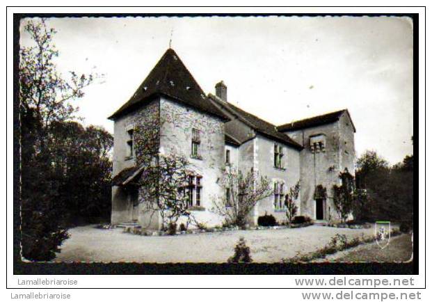 58 - COURS - CHATEAU DES GRANGES - Autres & Non Classés