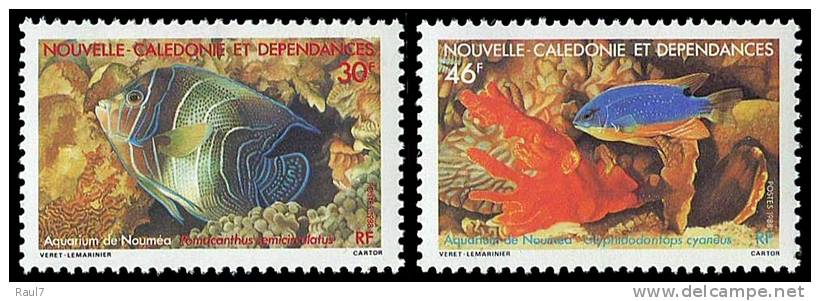 Nouvelle-Calédonie 1988 - Faune Marine, Poissons - 2val Neufs // Mnh - Unused Stamps