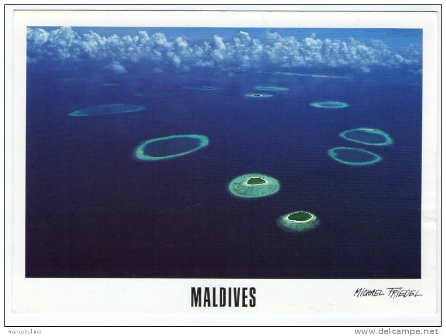 MALDIVES-MALE ATOLL (PHOTO MICHAEL FRIEDEL No.23/103) / THEMATIC STAMP-FLOWERS - Maldive