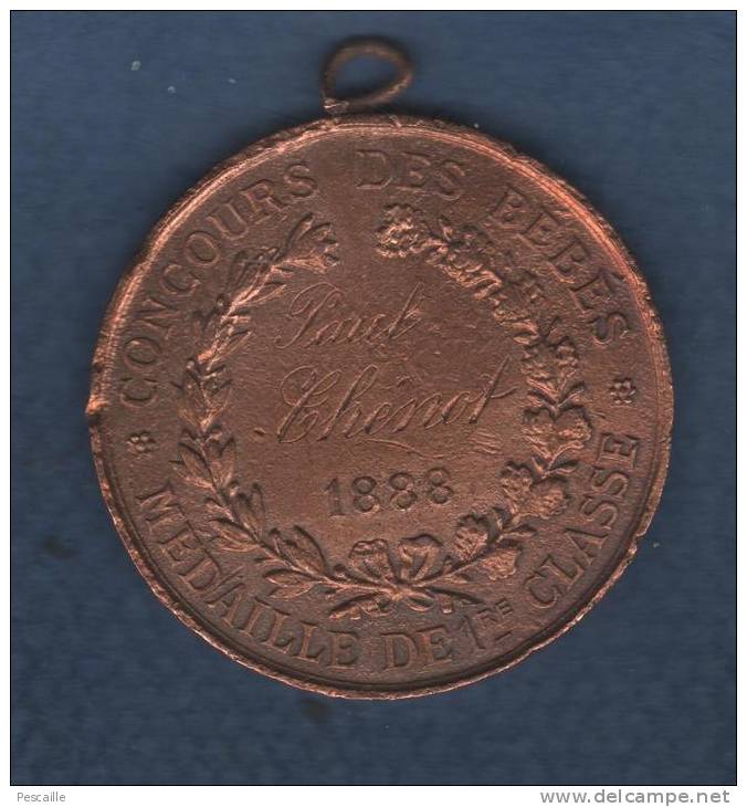 MEDAILLE VILLE DE PARIS / CONCOURS DES BEBES 1888 - MEDAILLE DE 1re CLASSE - PAUL CHENOT - Professionnels / De Société