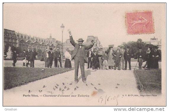 PARIS VECU CHARMEUR D'OISEAUX  AUX TUILERIES 1905 - Petits Métiers à Paris