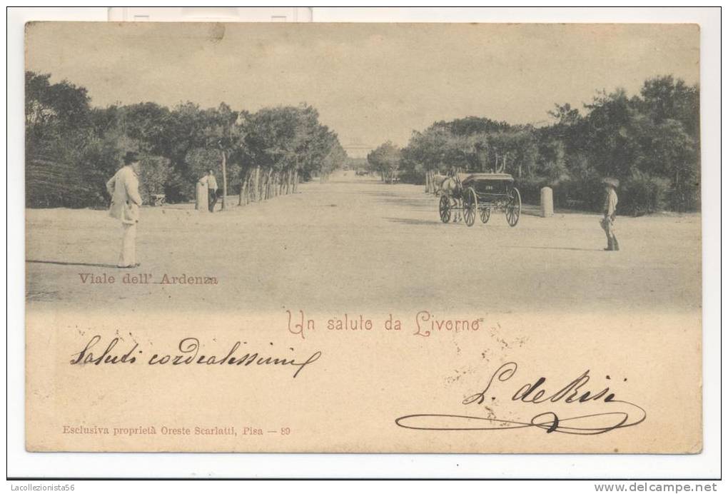 3797-LIVORNO-VIALE DELL´ARDENZA-CALESSE-ANIMATA-1901-FP - Livorno