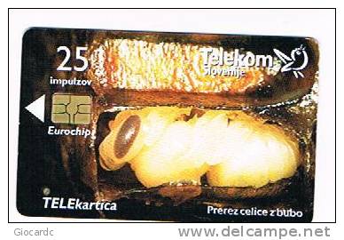 SLOVENIA (SLOVENIJA)  - TELEKOM SLOVENIJE  -  2001 BEES: PREREZ CELICE Z BUBO /  JALOVEC  - USED  -  RIF. 3111 - Bienen