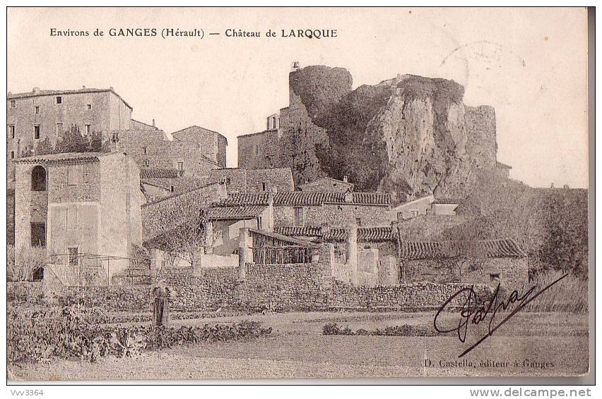 GANGES (environs): Château De Laroque - Ganges