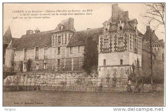 4110/A - LISIEUX (FRANCIA) - Chateau D' Houilly Du Houley - Lisieux