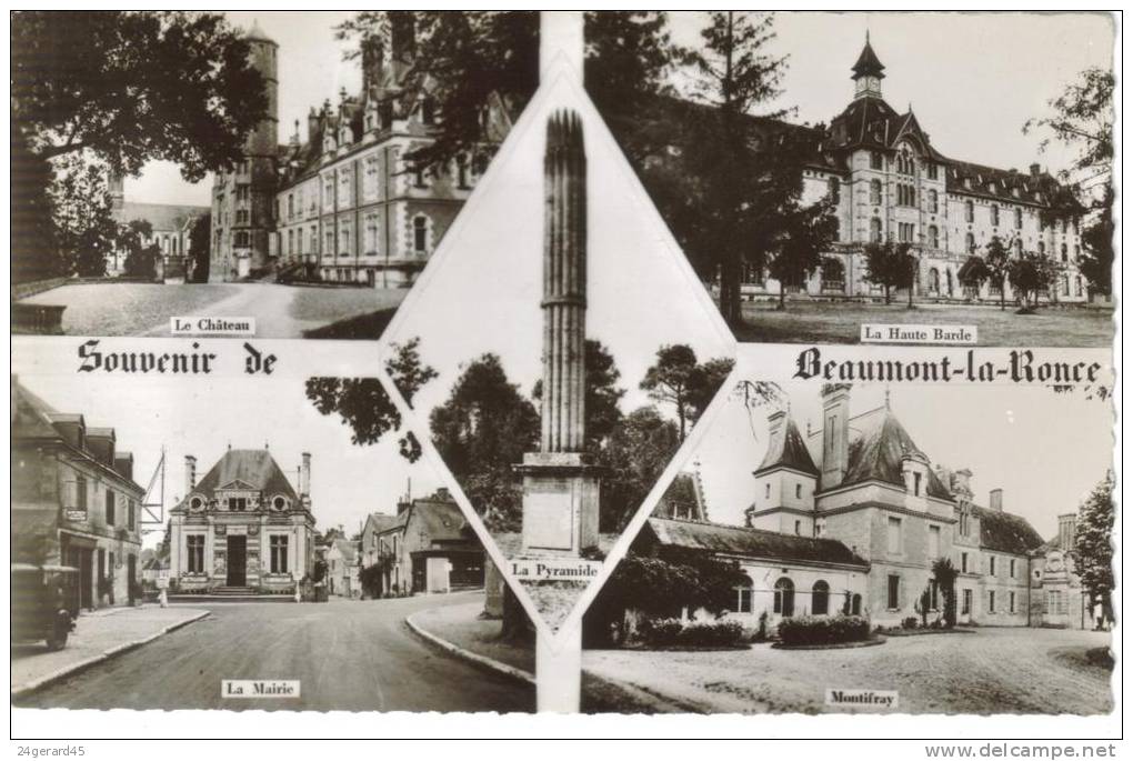 CPSM BEAUMONT LA RONCE (Indre Et Loire) - Souvenir De ....5 Vues - Beaumont-la-Ronce