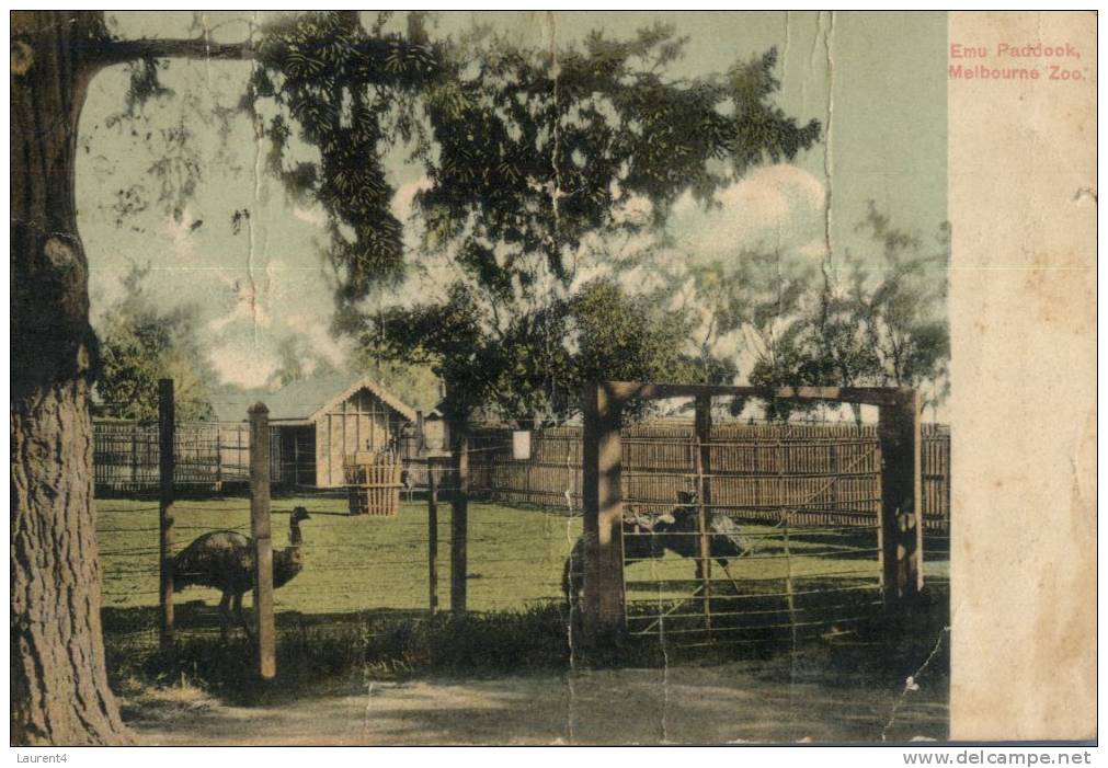 (600) Australia Very Old Postcard - Carte Tres Ancienne - VIC - Melbourne Emu Paddock At Zoo - Melbourne