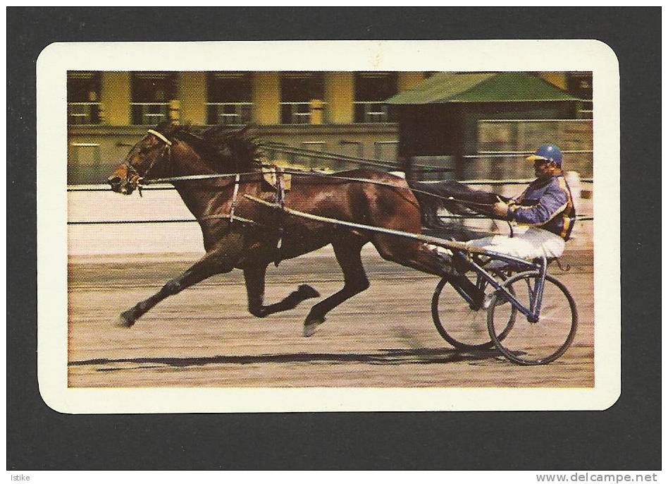 Hungary, Trotting Race, 1980. - Small : 1971-80