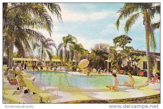 Florida Saint Petersburg Our Beautiful Private Pool At Cocoanut Grove Motel - St Petersburg