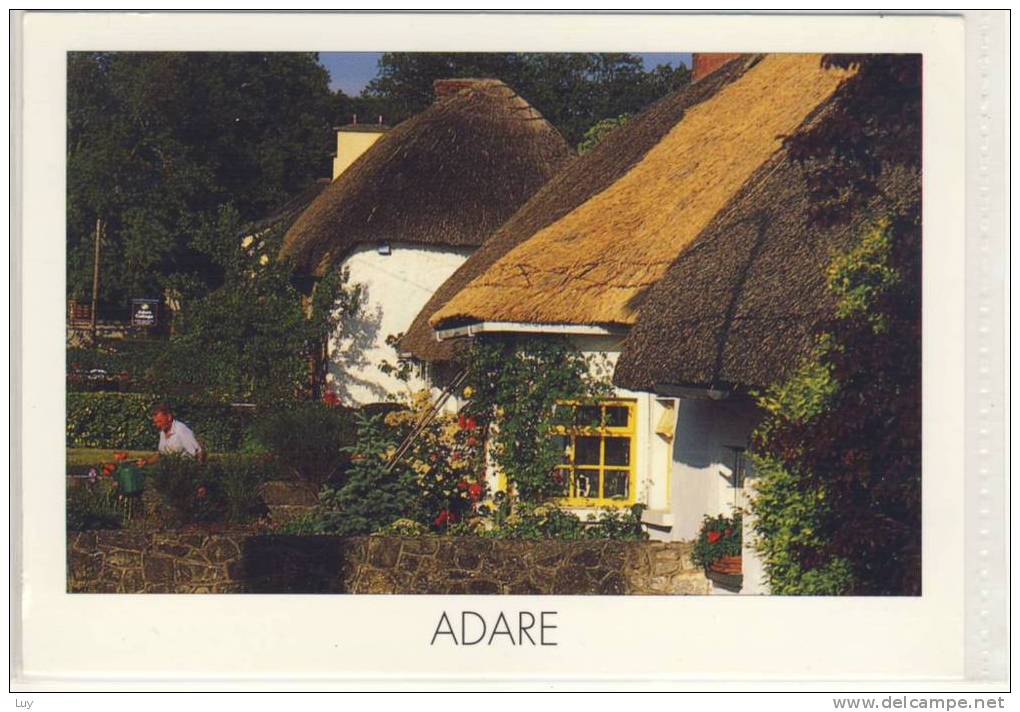 EIRE -  ADARE, Cottages   -   2004 - Limerick