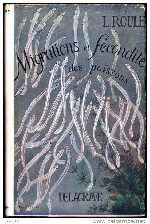 L. Roule - Migrations Et Fécondité Des Poissons - Librairie Delagrave - ( 1949 ) . - Chasse/Pêche