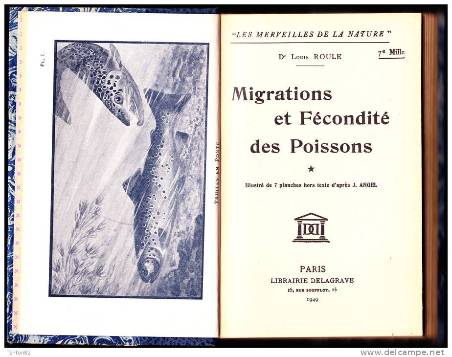 L. Roule - Migrations Et Fécondité Des Poissons - Librairie Delagrave - ( 1949 ) . - Chasse/Pêche