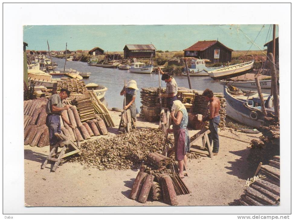 Le Détroquage Des Huitres Au Chenal D'Ors. Marennes - Oléron. - Marennes