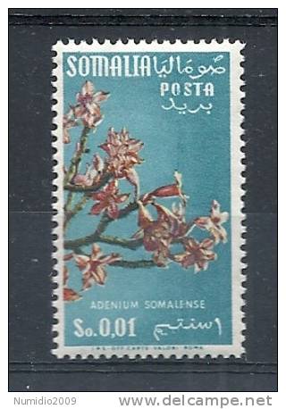 1956 SOMALIA AFIS FIORI 1  CENT STELLE MNH ** - RR9539 - Somalia (AFIS)