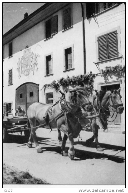 Bauernhof Ferme Neunkirch Klettgau - Neunkirch