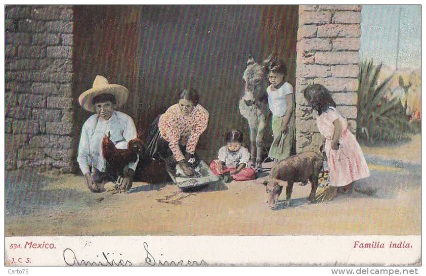 Mexique - Mexico - Famille Indienne - Ane Coq Cochon - Oblitération 1908 - Mexico