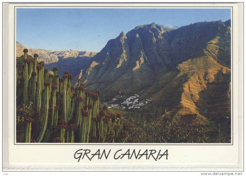 GRAN CANARIA - Valle De Agaete - 1997 - Gran Canaria