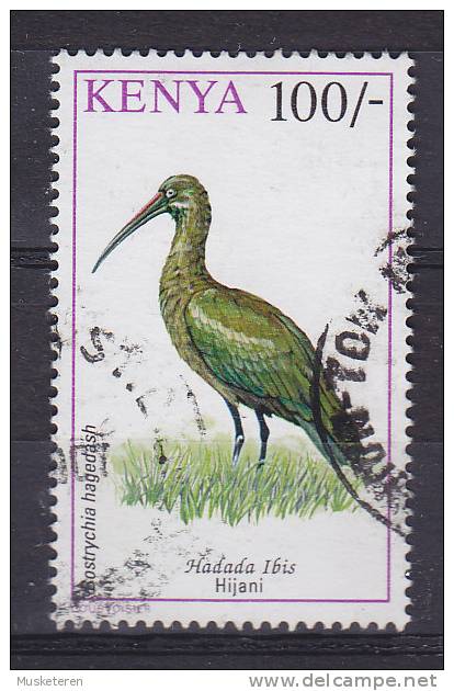 Kenya 1993 Mi. 585     100 Sh Bird Vogel Oiseau Hagedash Hadada Ibis - Kenia (1963-...)