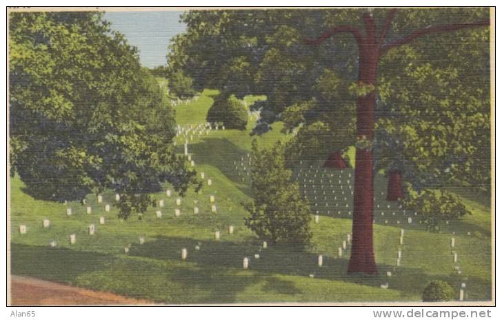 Vicksburg MS, National Cemetery, US CivilWar, C1940s Vintage Linen Postcard - Oorlogsbegraafplaatsen