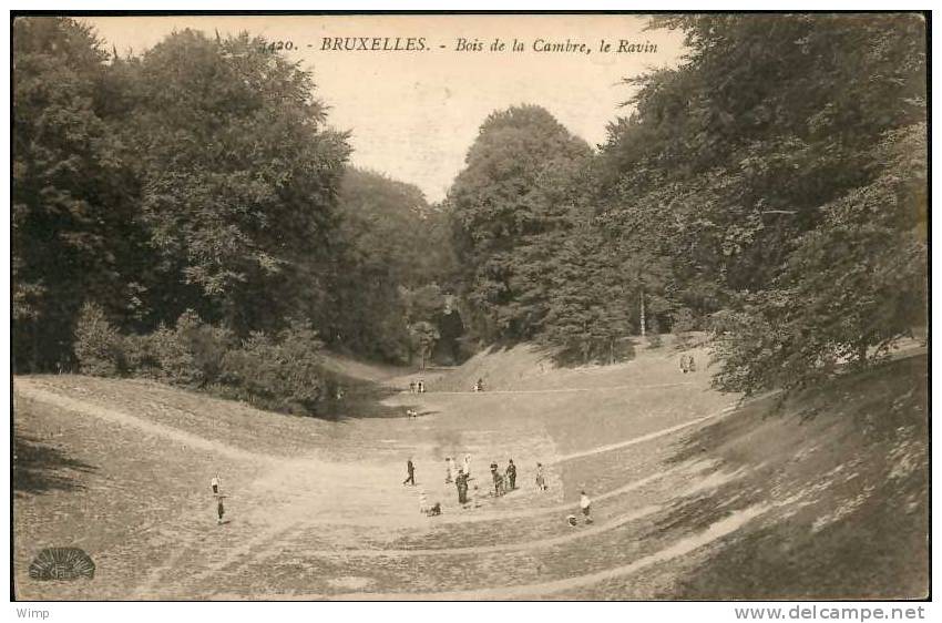 Bruxelles - Bois De La Cambre / Henri Georges N° 420 - St-Josse-ten-Noode - St-Joost-ten-Node