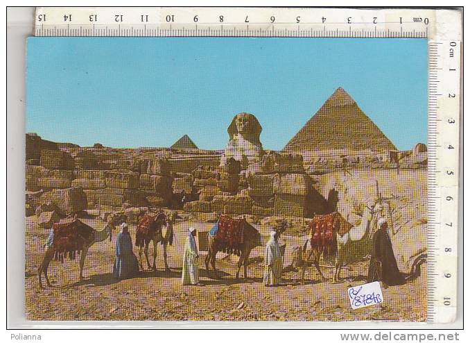 PO8784B# EGITTO - EGYPT - GIZA - SFINGE E PIRAMIDE DI CHEOPE - CAMMELLIERI  VG 1983 - Gizeh