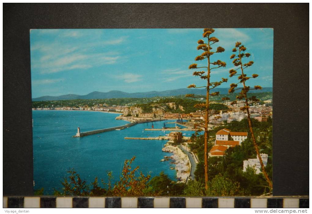 06 NICE   PORT DE NICE ET MONUMENTS AUX MORTS  EDITIONS MESSAGER VOYAGEE 1965 - Monumenti, Edifici