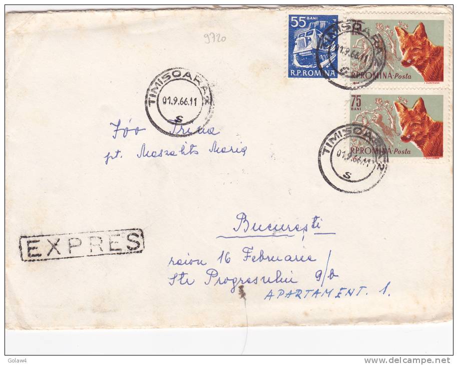 9720# ROUMANIE RENARD LETTRE RECOMMANDE EXPRES Obl TIMISOARA 1966 Pour BUCAREST BUCURESTI ROMANIA - Marcophilie