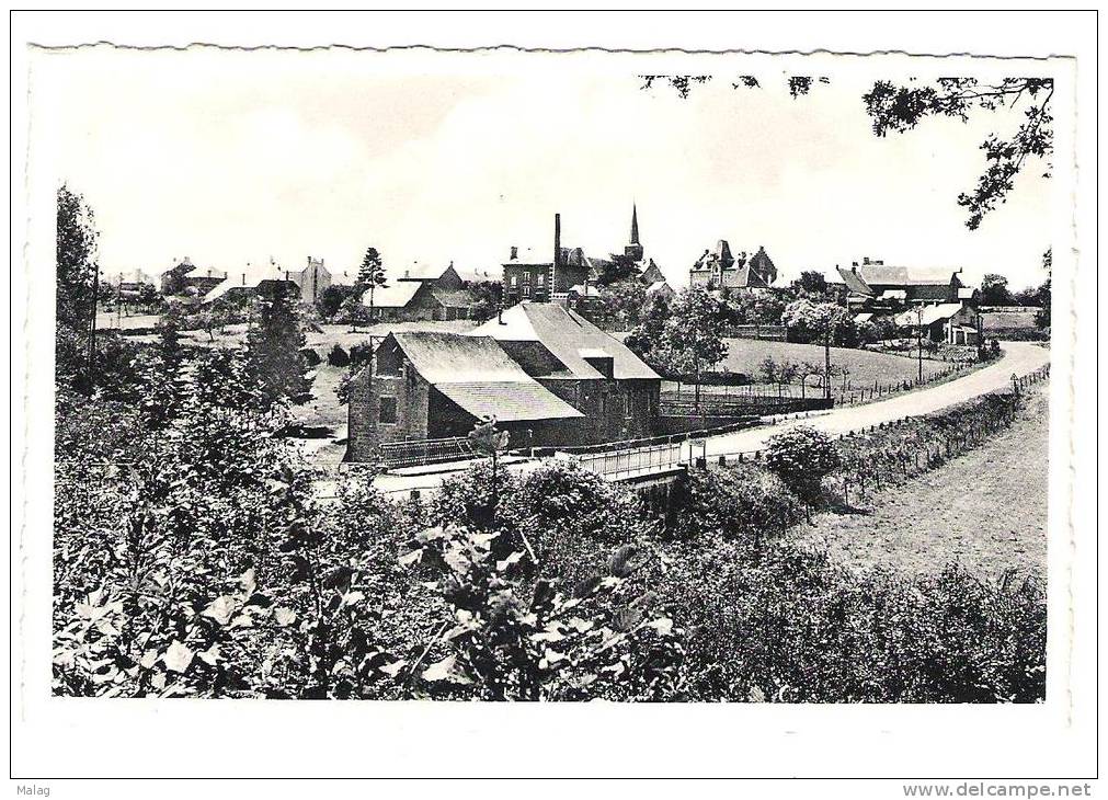 Seloignes  Le Moulin Et Panorama Du Village - Momignies