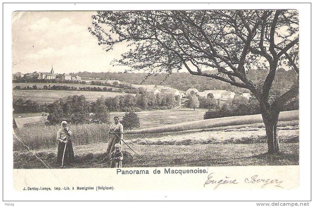 Panorama De Macquenoise - Momignies