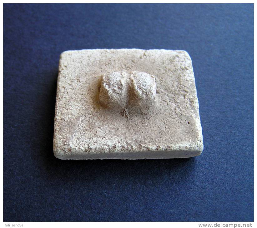 STEATITE SEAL /INDUS VALLEY C. 2500 B.C. - Archeologia