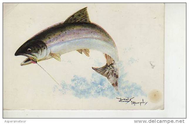 POST CARD  POSTKAART  FISHING-FLIES  KUNSVLIEE SALMON SILVER WILKINSON  PECES FISH    OHL - Covers & Documents