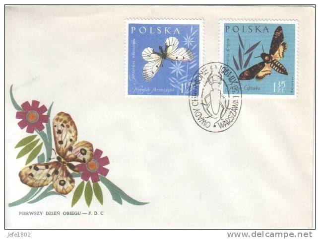 Fauna - Butterfly - Vlinder - Papillon / Parnassius Mnemosyne - Acherontia Atropos - Farfalle